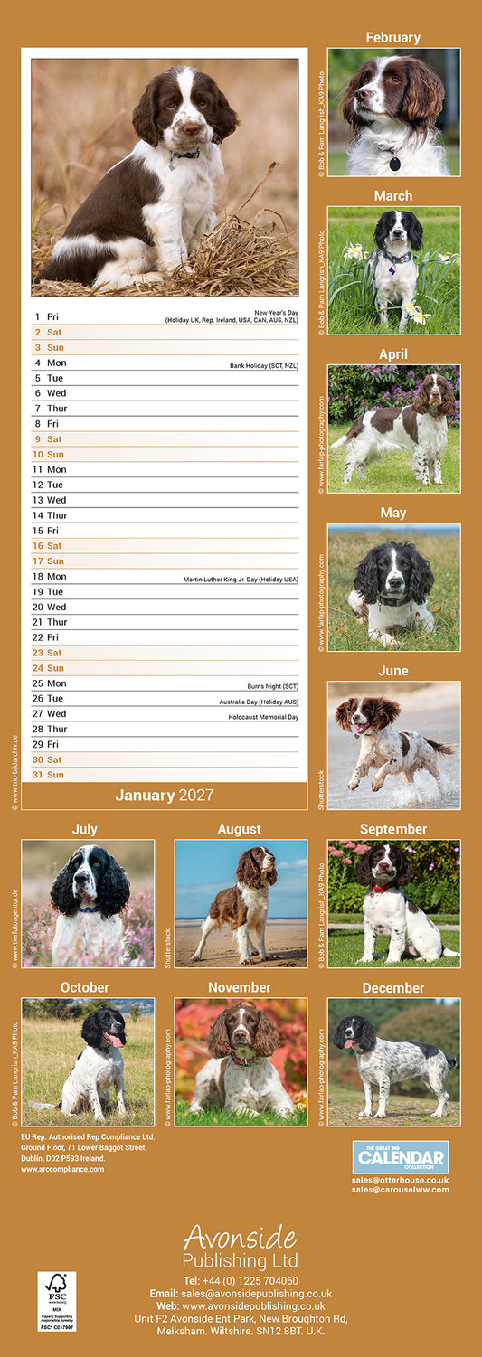 English Springer Spaniel slim calendar 2027