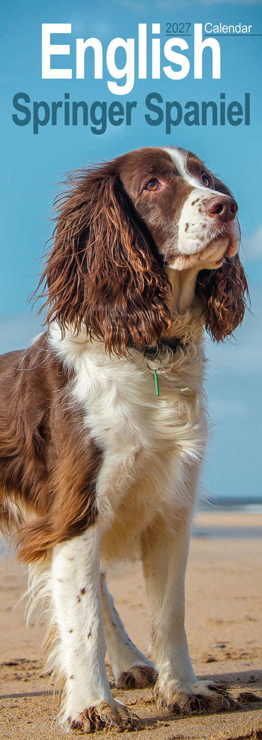 English Springer Spaniel slim calendar 2027
