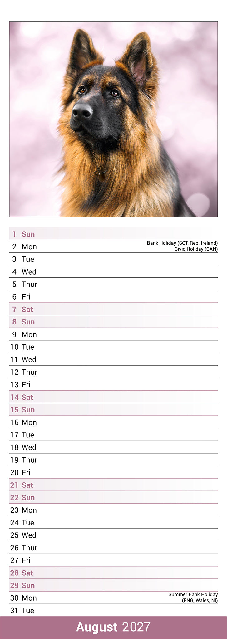 German Shepherd slim calendar 2027