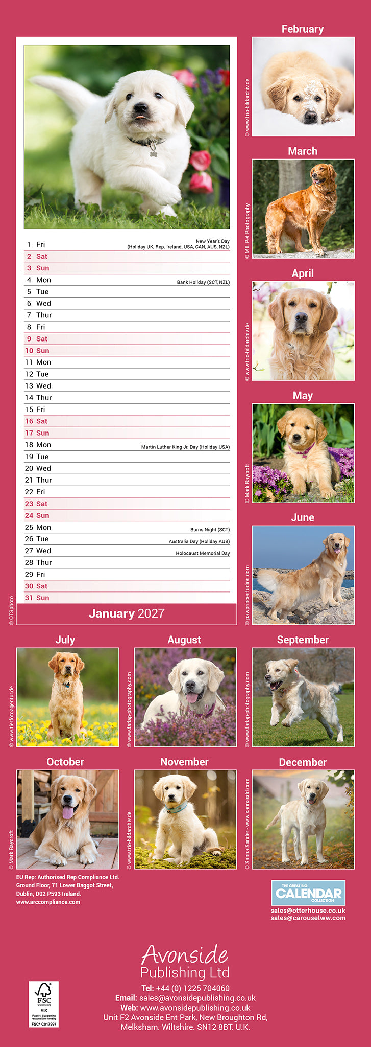 Golden Retriever slim calendar 2027