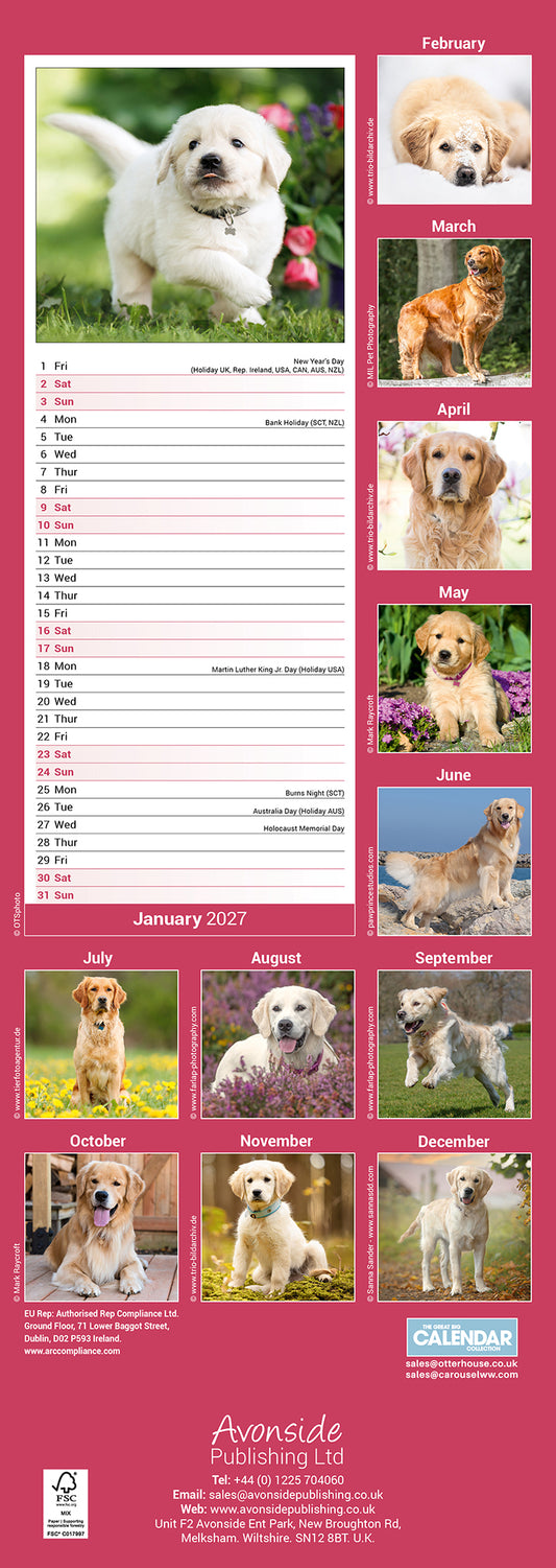 Golden Retriever slim calendar 2027