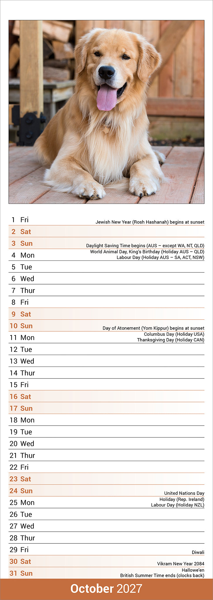 Golden Retriever slim calendar 2027