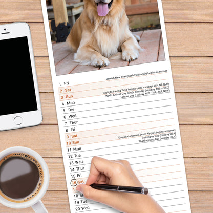 Golden Retriever slim calendar 2027