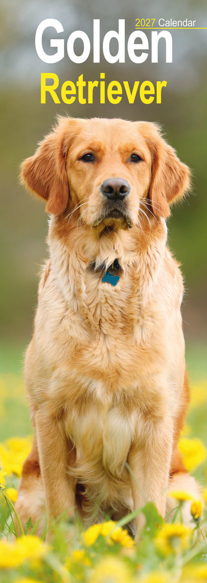 Golden Retriever slim calendar 2027