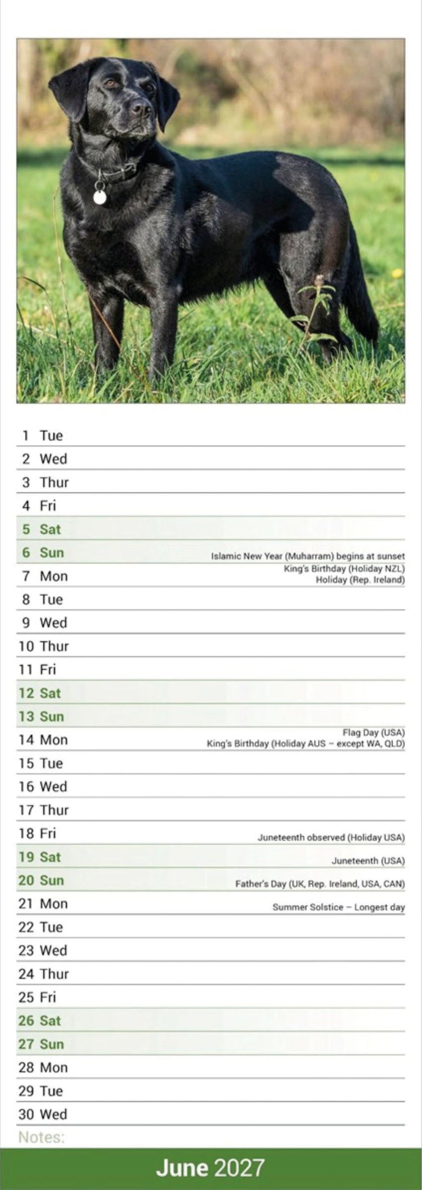 Black Labrador Retriever slim calendar 2027