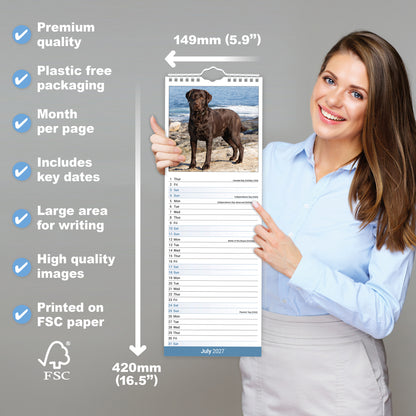 Chocolate Labrador Retriever slim calendar 2027