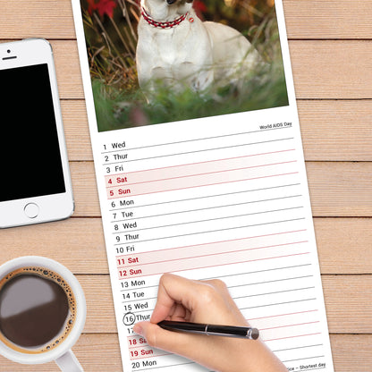 Yellow Labrador Retriever slim calendar 2027