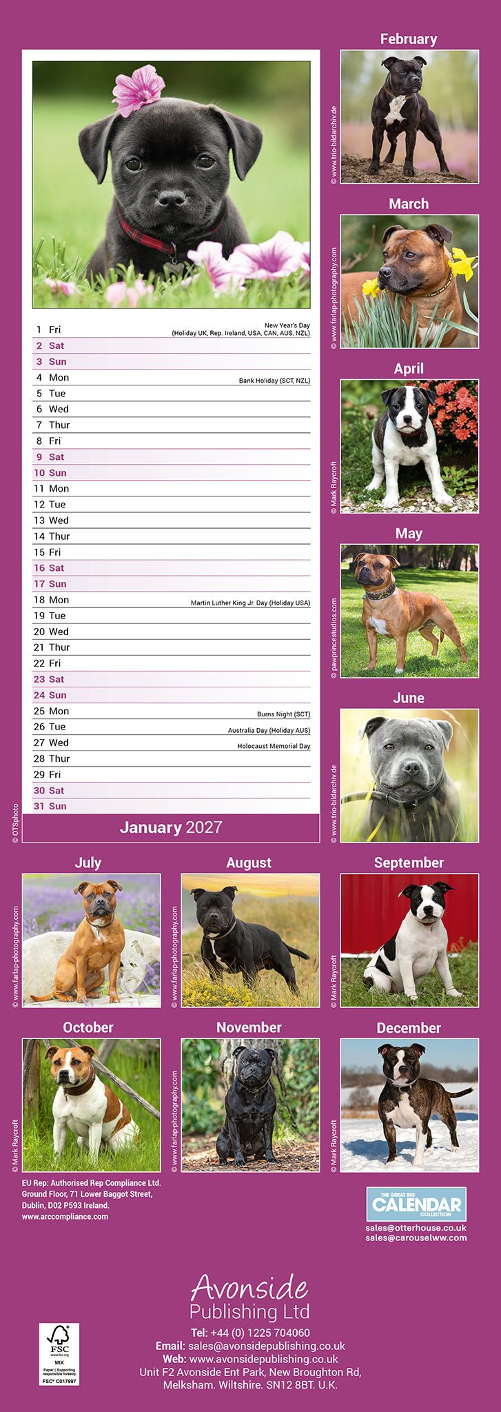 Staffordshire Bull Terrier slim calendar 2027