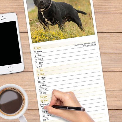 Staffordshire Bull Terrier slim calendar 2027