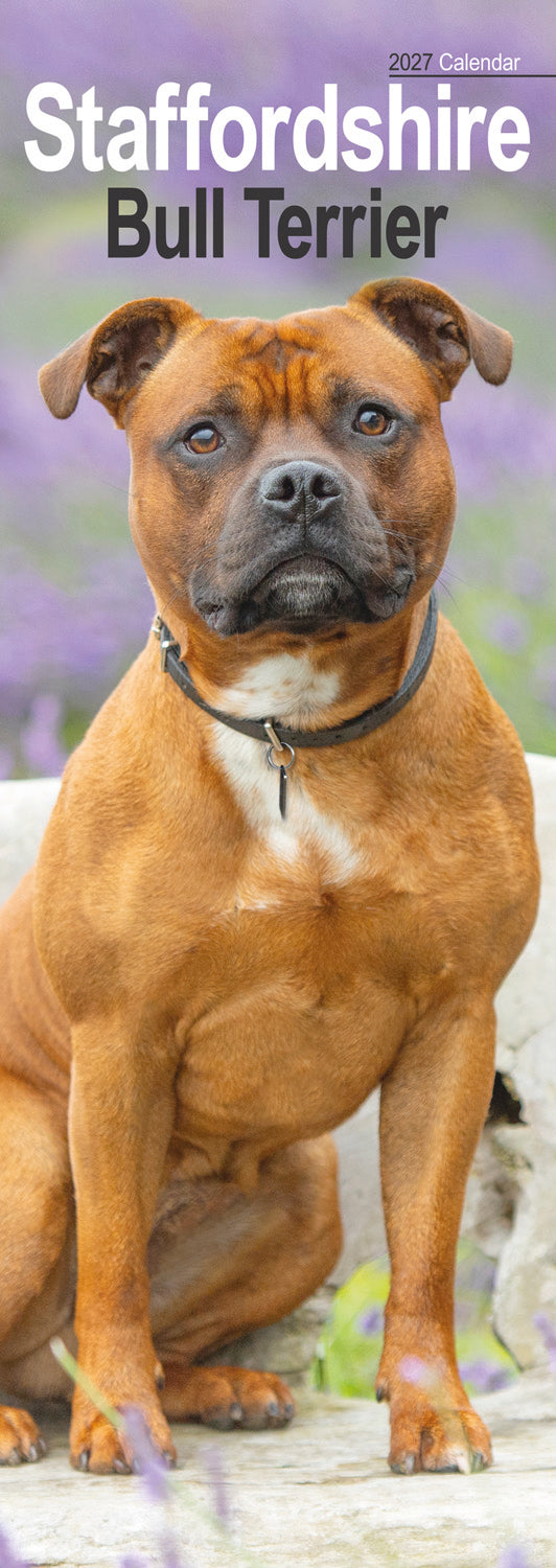 Staffordshire Bull Terrier slim calendar 2027