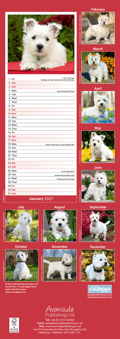 West Highland White Terrier slim calendar 2027
