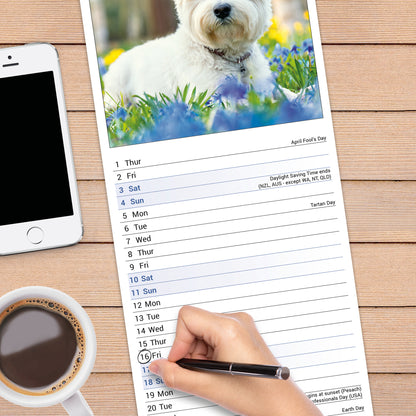 West Highland White Terrier slim calendar 2027