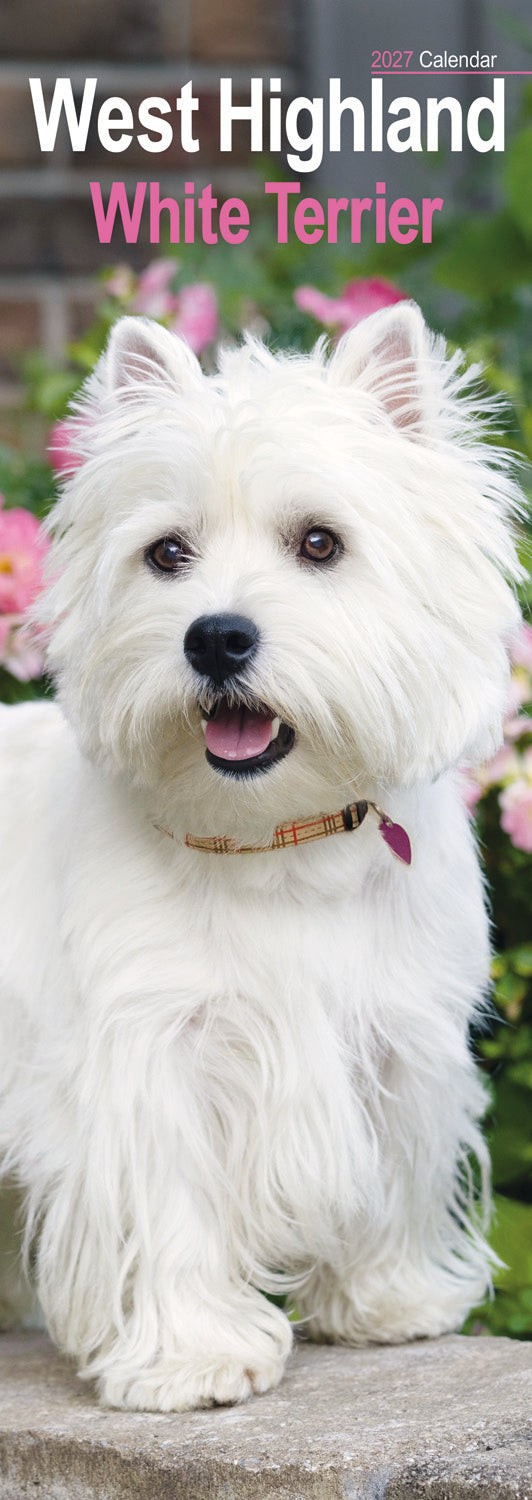 West Highland White Terrier slim calendar 2027