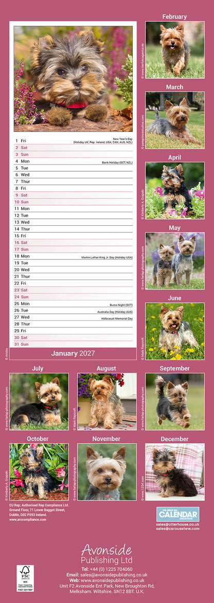 Yorkshire Terrier slim calendar 2027