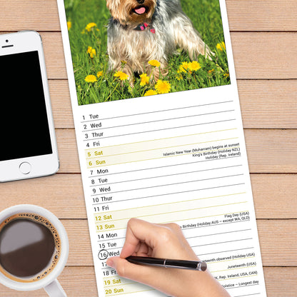 Yorkshire Terrier slim calendar 2027