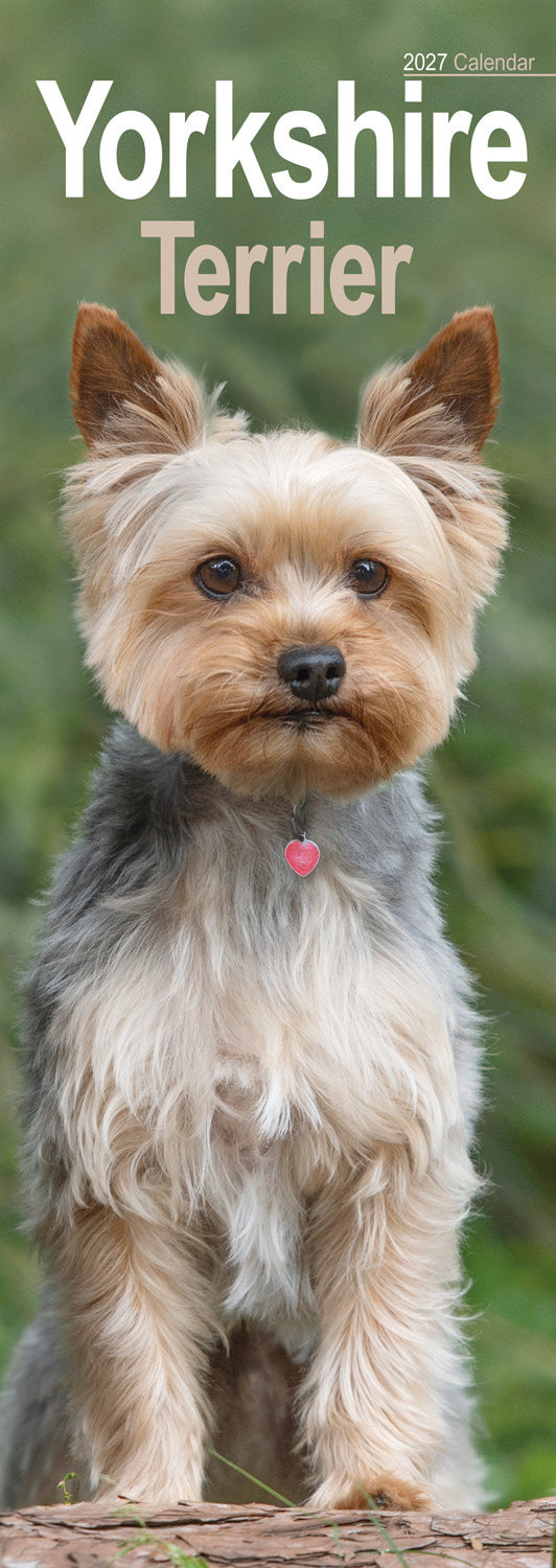 Yorkshire Terrier slim calendar 2027