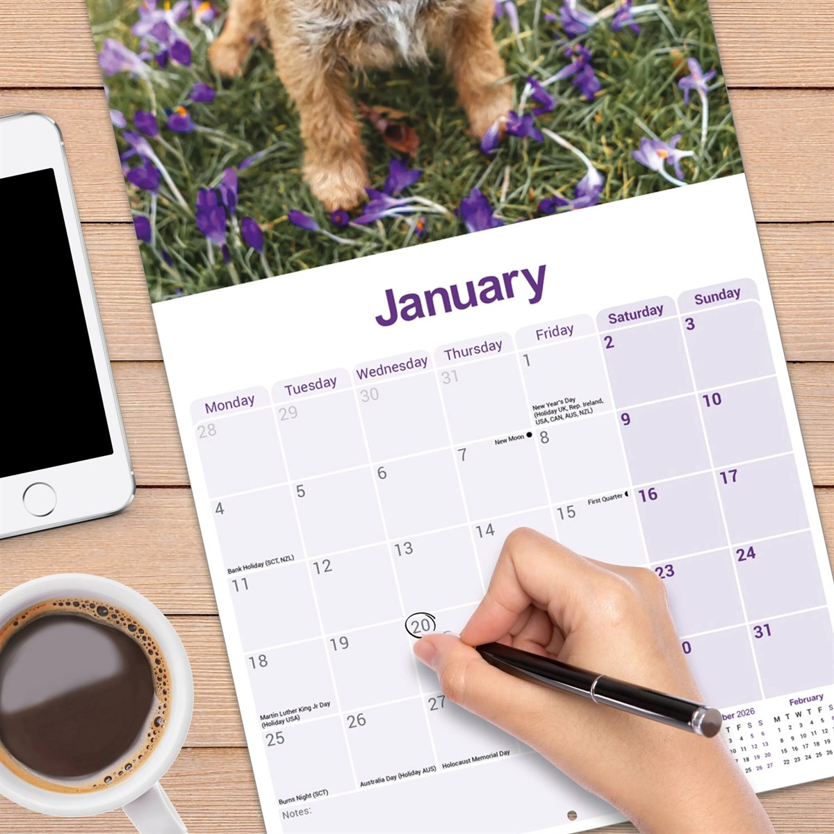 Border Terrier wall calendar 2027