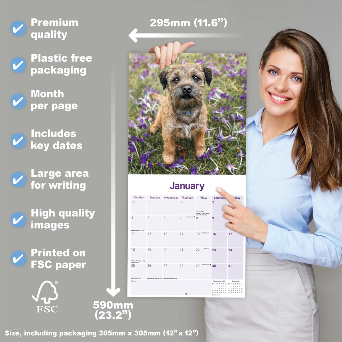 Border Terrier wall calendar 2027