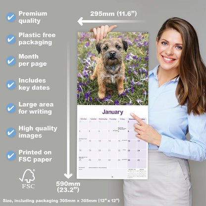 Border Terrier wall calendar 2027