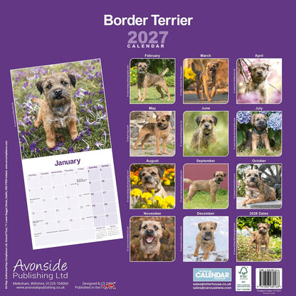 Border Terrier wall calendar 2027