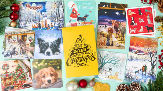 Dogs Trust Christmas bumper card pack 30 cards
