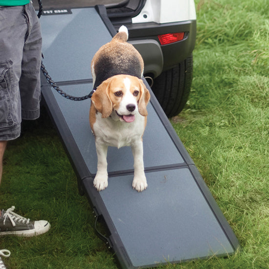 Lightweight dog ramp for car – tri-fold & portable