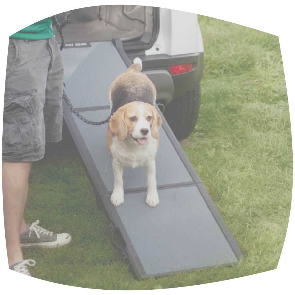 Lightweight tri fold dog ramp