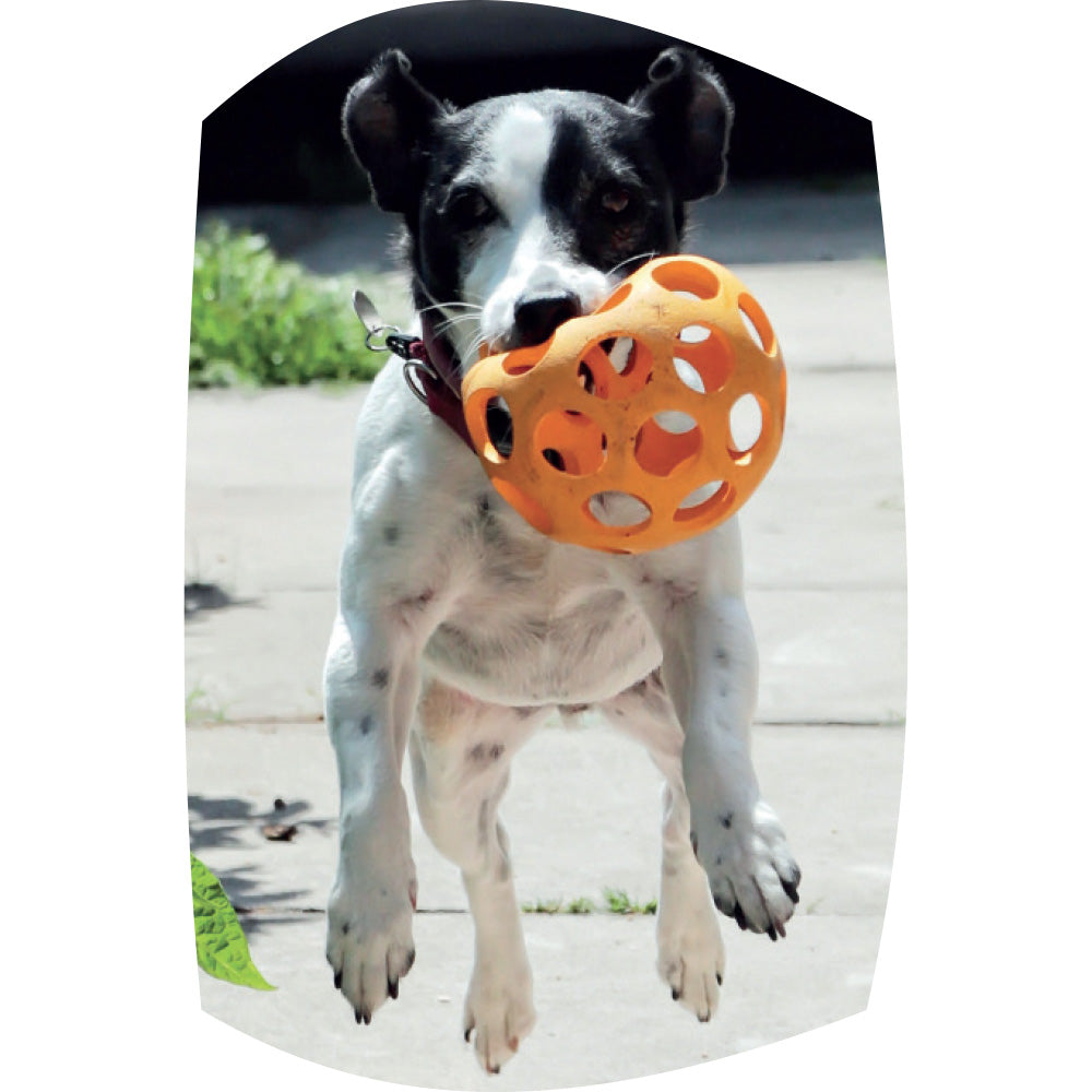 Rubber lattice football