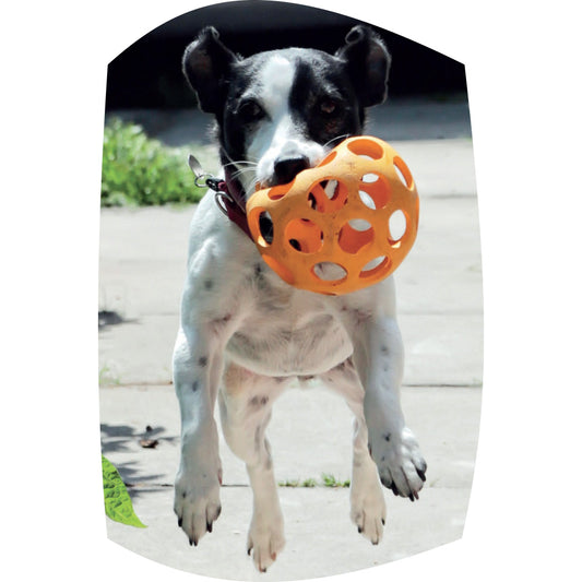 Rubber lattice football