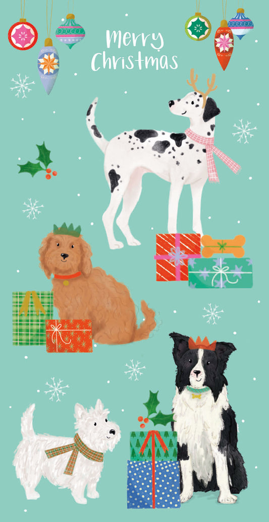 Party dogs money wallets