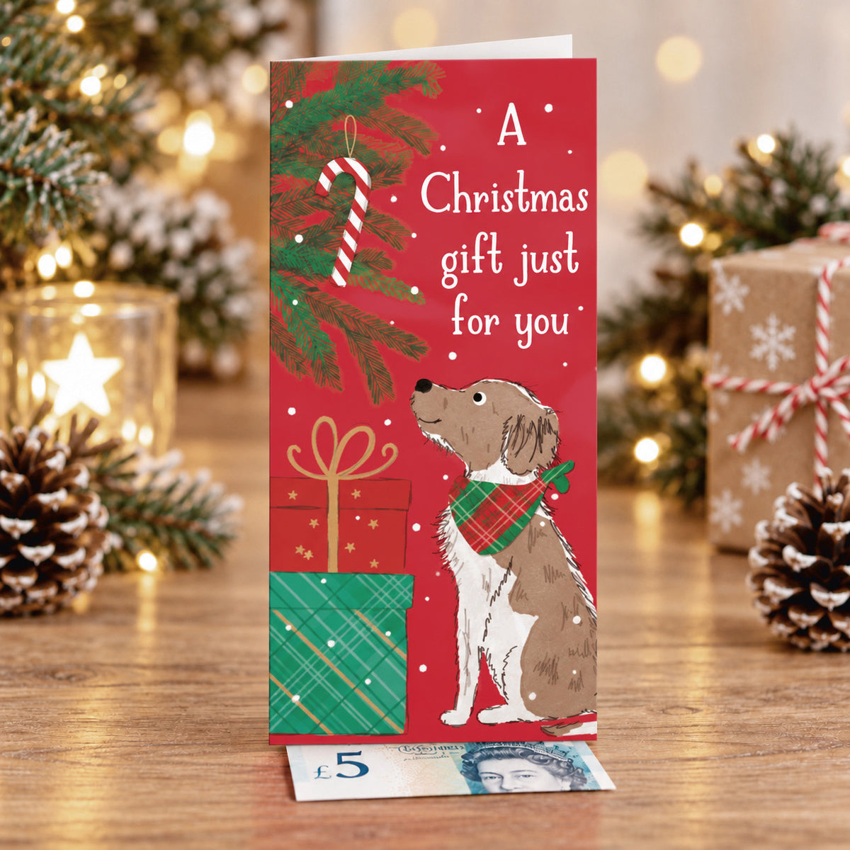 Party dogs gift money wallets
