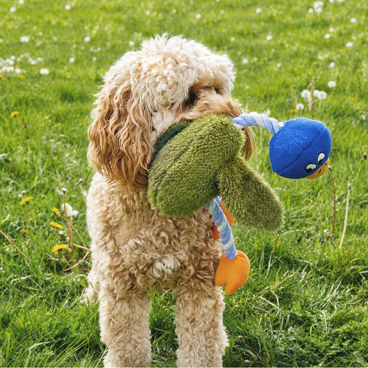 Delia duck dog toy