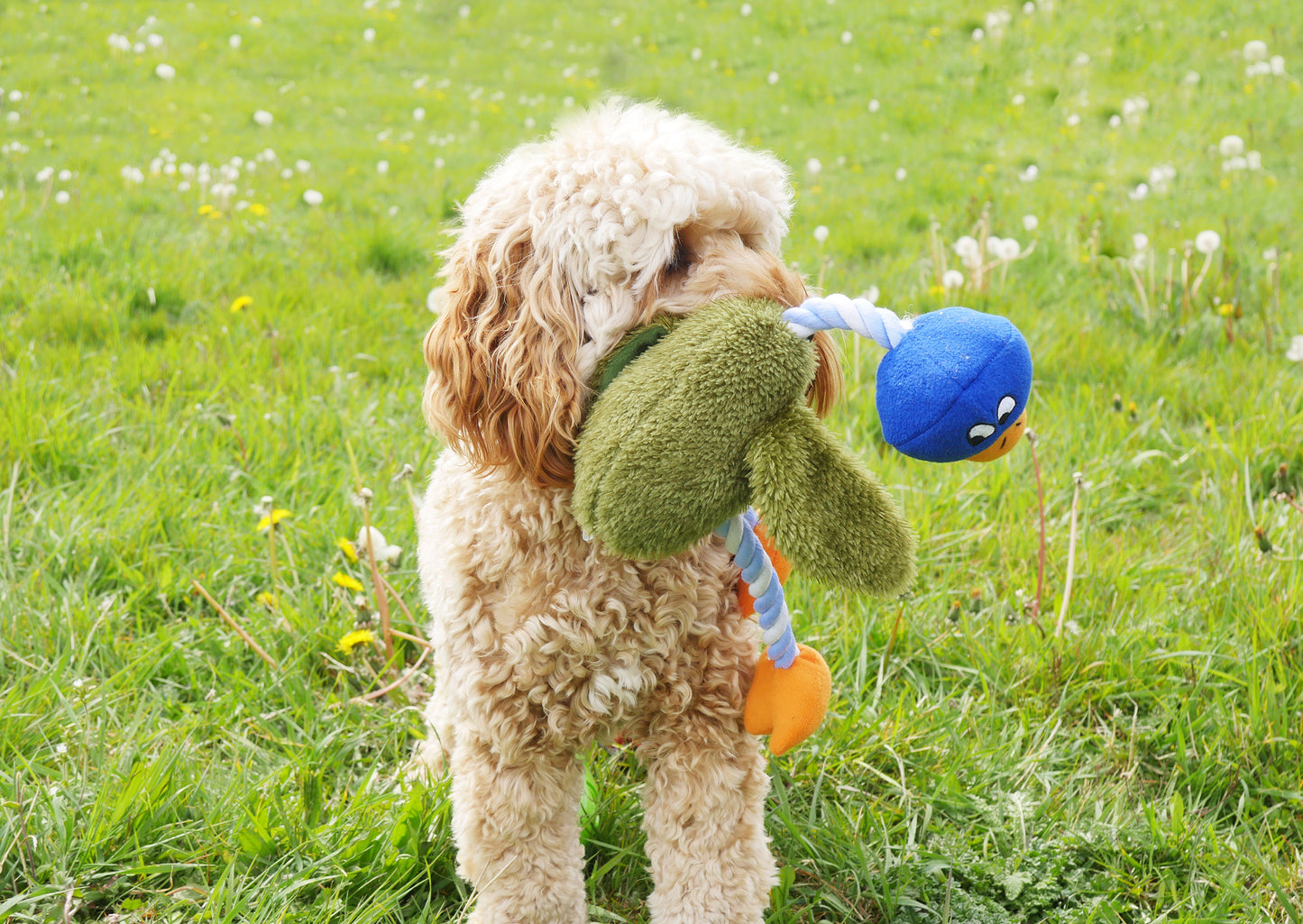 Delia duck dog toy