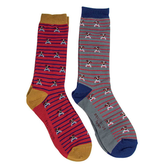 Dogs socks gift box