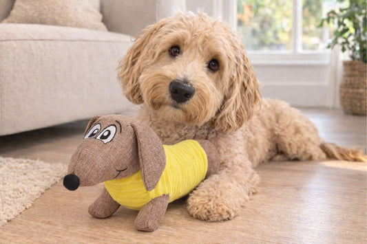Dachshund dog toy