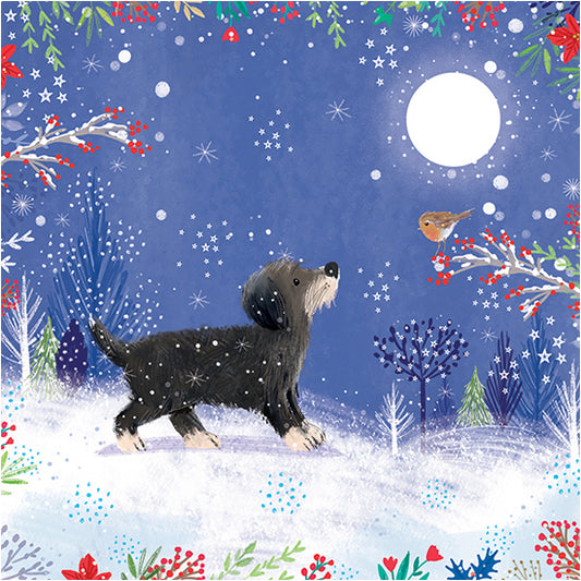 Pup and the robin Christmas cards