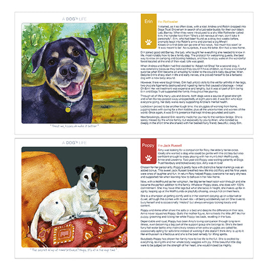 A dog's life book
