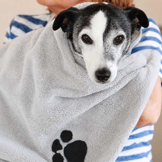 Microfibre absorbent pet towel