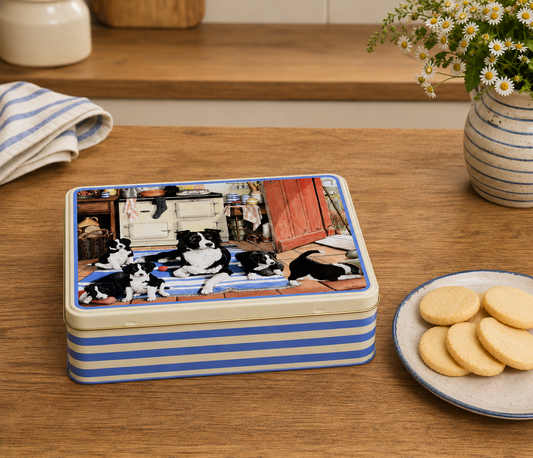 Border Collies biscuit tin