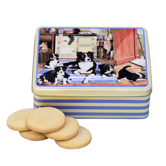 Border Collies biscuit tin