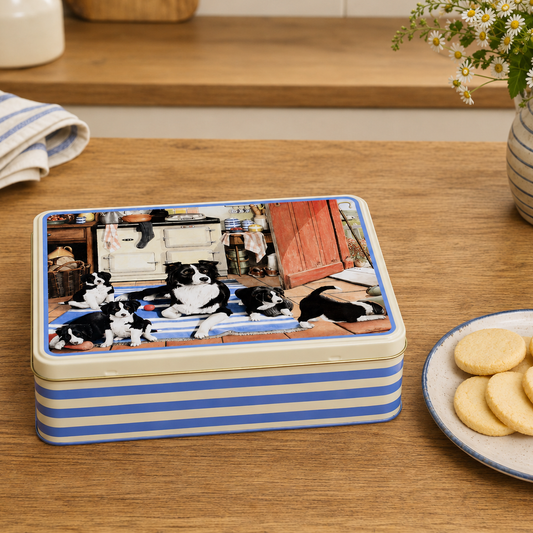 Border Collies biscuit tin