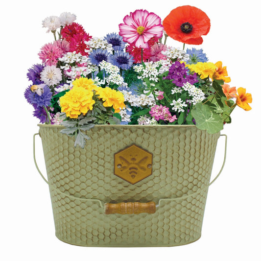 Honeycomb wildflower trough