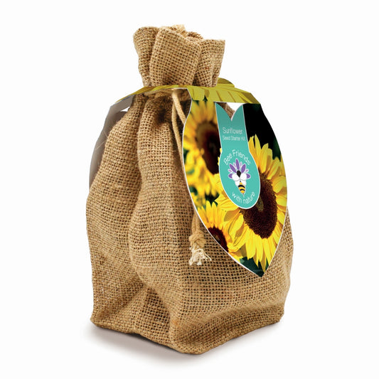 Sunflower seed starter set