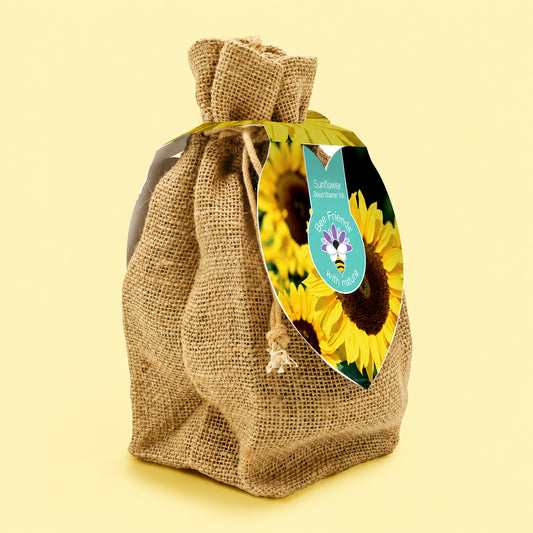 Sunflower seed starter set
