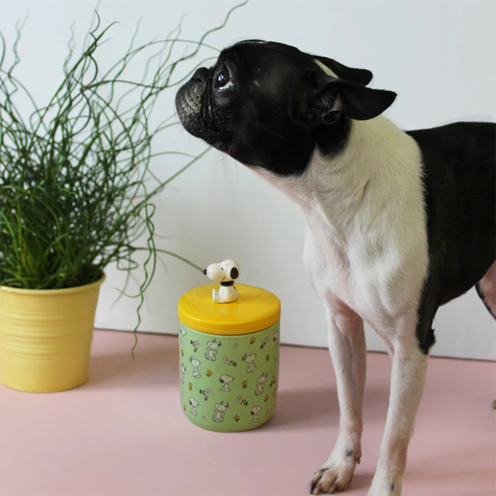 Peanuts treat jar