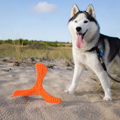 N-Gage propeller dog toy