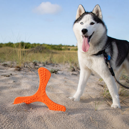 N-Gage propeller dog toy