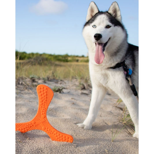 N-Gage propeller dog toy