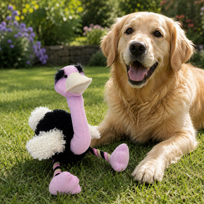 Olga ostrich dog toy
