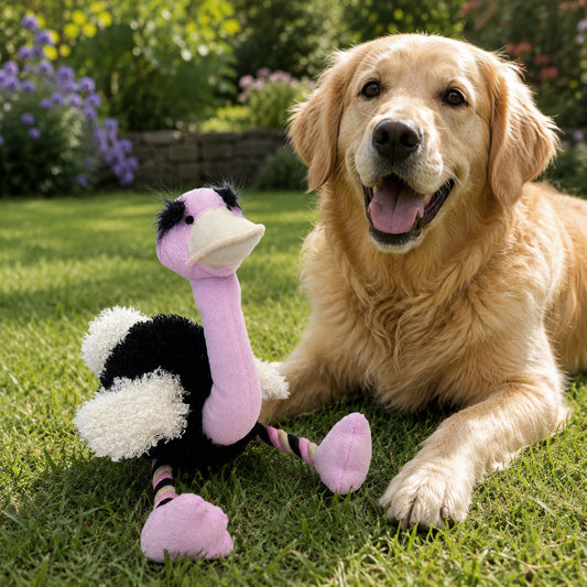 Olga ostrich dog toy